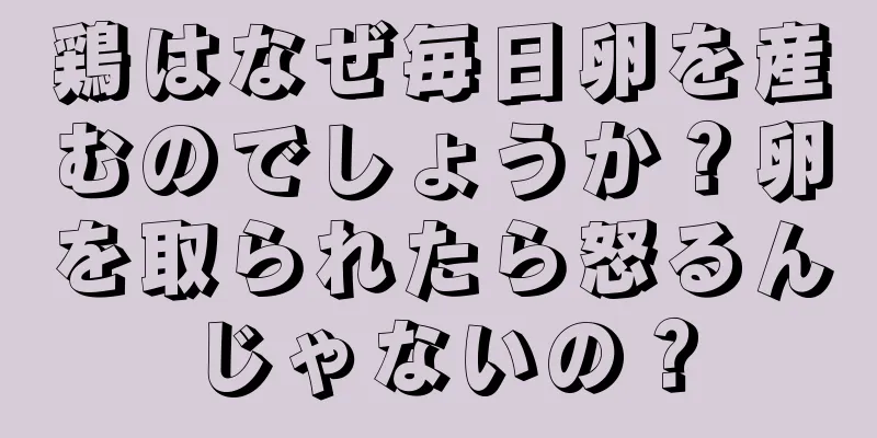 鶏はなぜ毎日卵を産むのでしょうか？卵を取られたら怒るんじゃないの？