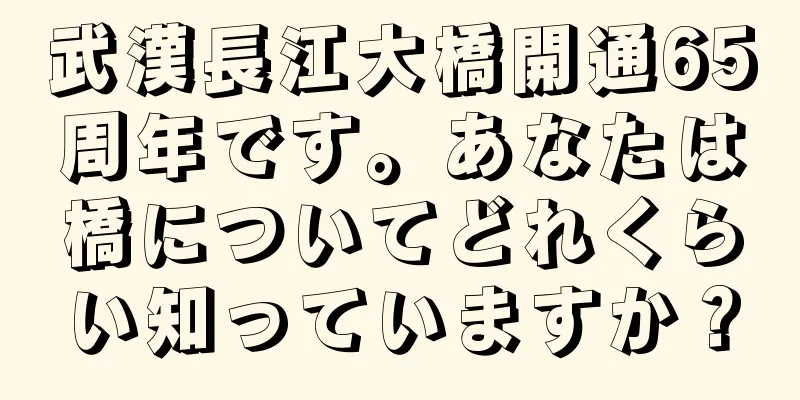 武漢長江大橋開通65周年です。あなたは橋についてどれくらい知っていますか？