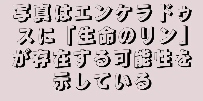 写真はエンケラドゥスに「生命のリン」が存在する可能性を示している