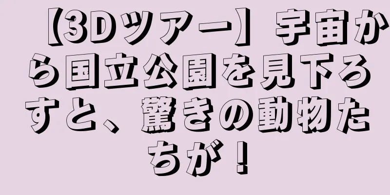 【3Dツアー】宇宙から国立公園を見下ろすと、驚きの動物たちが！