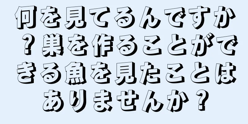 何を見てるんですか？巣を作ることができる魚を見たことはありませんか？