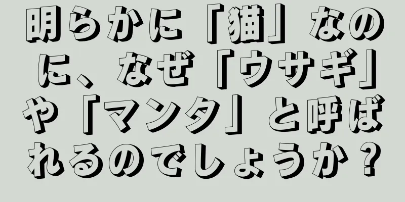 明らかに「猫」なのに、なぜ「ウサギ」や「マンタ」と呼ばれるのでしょうか？