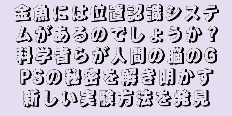 金魚には位置認識システムがあるのでしょうか？科学者らが人間の脳のGPSの秘密を解き明かす新しい実験方法を発見