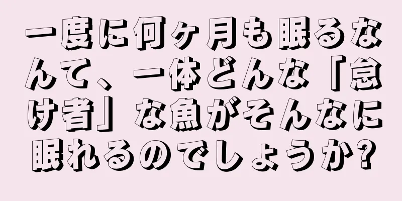 一度に何ヶ月も眠るなんて、一体どんな「怠け者」な魚がそんなに眠れるのでしょうか?