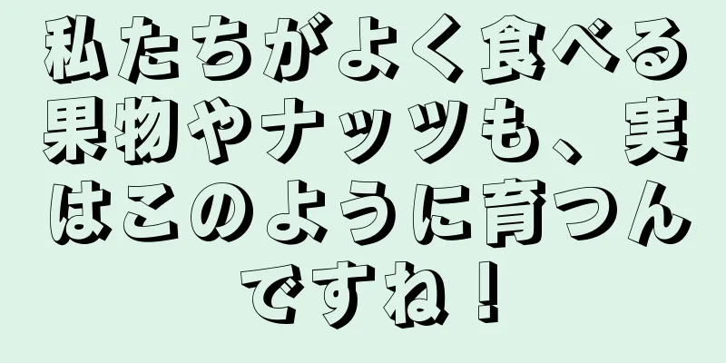 私たちがよく食べる果物やナッツも、実はこのように育つんですね！