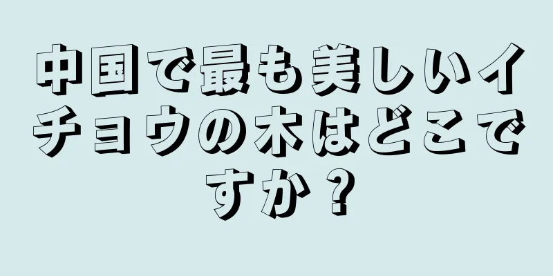 中国で最も美しいイチョウの木はどこですか？