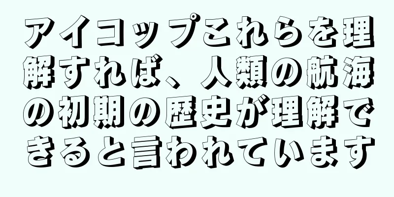 アイコップこれらを理解すれば、人類の航海の初期の歴史が理解できると言われています