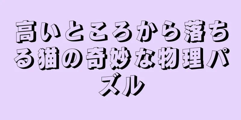 高いところから落ちる猫の奇妙な物理パズル