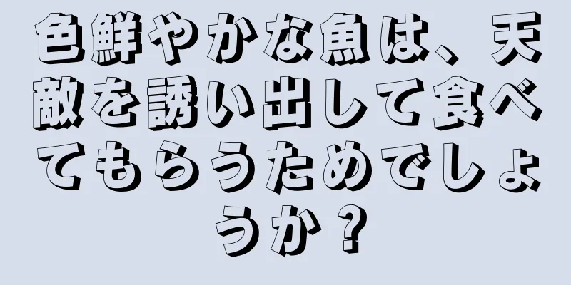 色鮮やかな魚は、天敵を誘い出して食べてもらうためでしょうか？