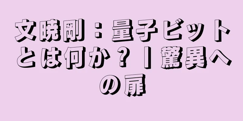 文暁剛：量子ビットとは何か？丨驚異への扉