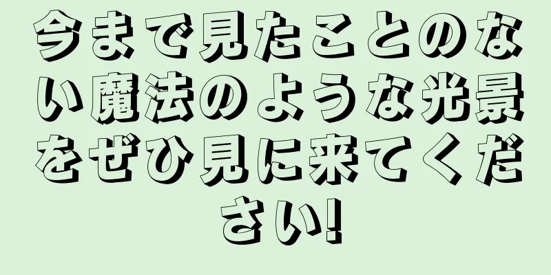 今まで見たことのない魔法のような光景をぜひ見に来てください!