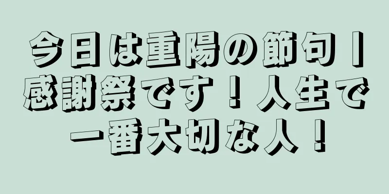 今日は重陽の節句丨感謝祭です！人生で一番大切な人！