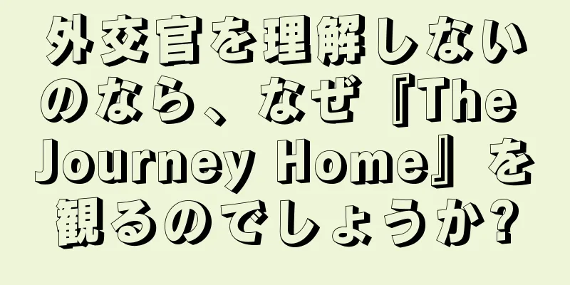 外交官を理解しないのなら、なぜ『The Journey Home』を観るのでしょうか?