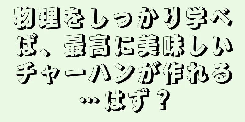 物理をしっかり学べば、最高に美味しいチャーハンが作れる…はず？