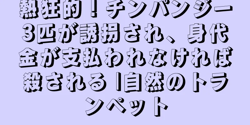 熱狂的！チンパンジー3匹が誘拐され、身代金が支払われなければ殺される |自然のトランペット