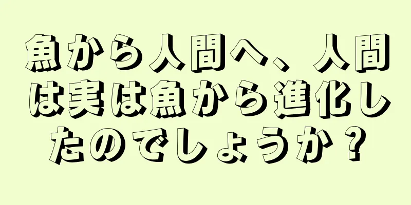 魚から人間へ、人間は実は魚から進化したのでしょうか？