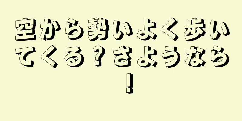 空から勢いよく歩いてくる？さようなら！