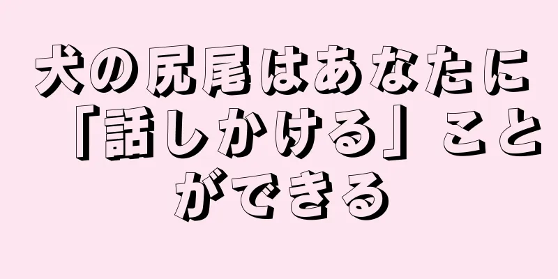 犬の尻尾はあなたに「話しかける」ことができる
