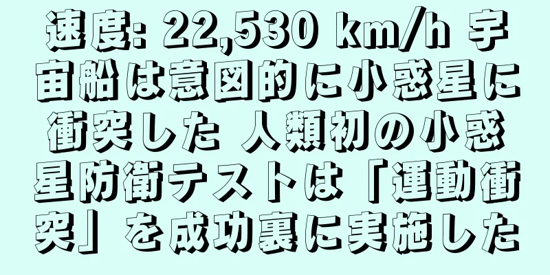 速度: 22,530 km/h 宇宙船は意図的に小惑星に衝突した 人類初の小惑星防衛テストは「運動衝突」を成功裏に実施した