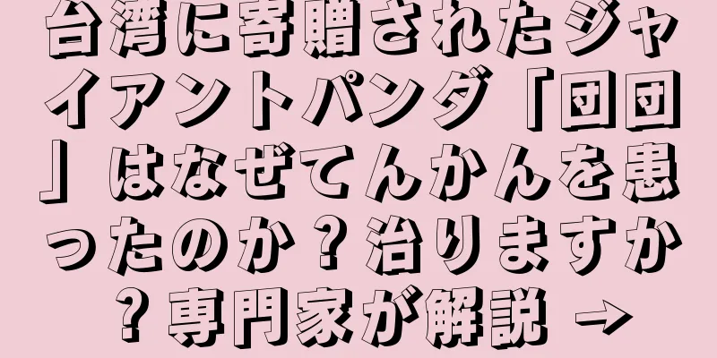 台湾に寄贈されたジャイアントパンダ「団団」はなぜてんかんを患ったのか？治りますか？専門家が解説 →