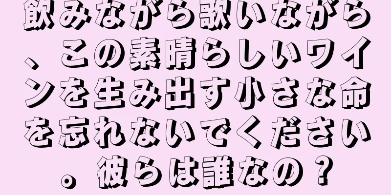 飲みながら歌いながら、この素晴らしいワインを生み出す小さな命を忘れないでください。彼らは誰なの？