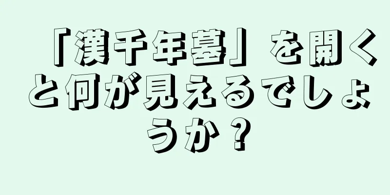 「漢千年墓」を開くと何が見えるでしょうか？