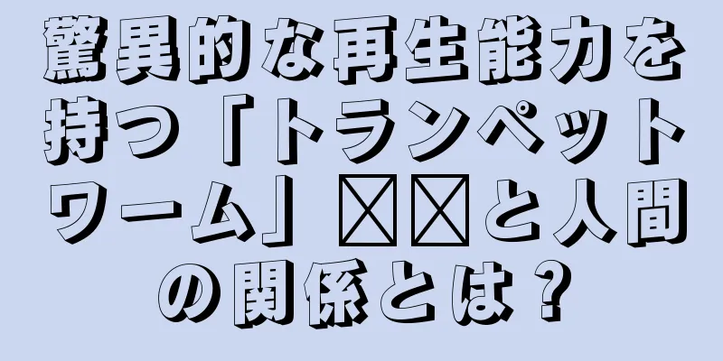 驚異的な再生能力を持つ「トランペットワーム」​​と人間の関係とは？