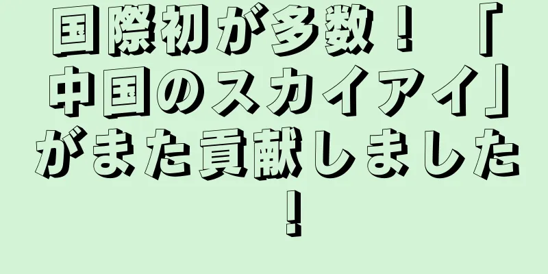 国際初が多数！ 「中国のスカイアイ」がまた貢献しました！