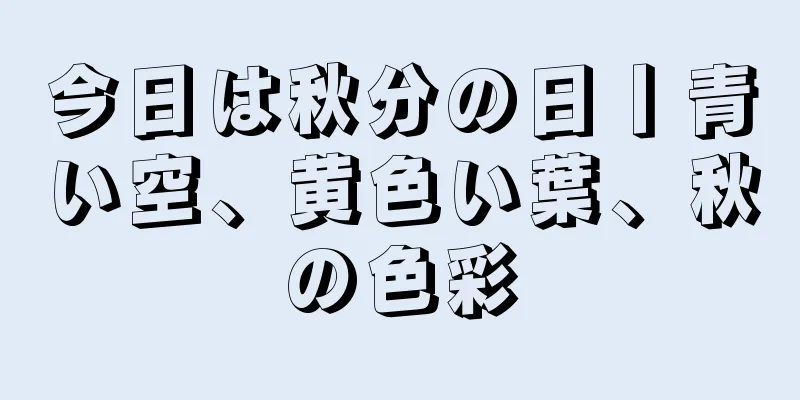 今日は秋分の日丨青い空、黄色い葉、秋の色彩