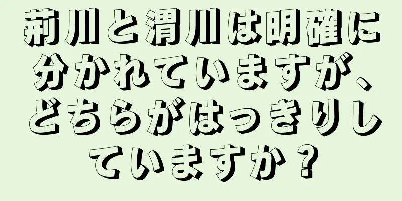 荊川と渭川は明確に分かれていますが、どちらがはっきりしていますか？