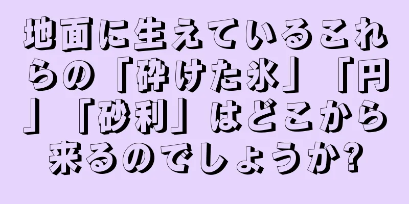 地面に生えているこれらの「砕けた氷」「円」「砂利」はどこから来るのでしょうか?