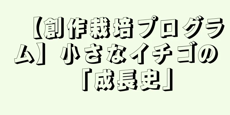 【創作栽培プログラム】小さなイチゴの「成長史」