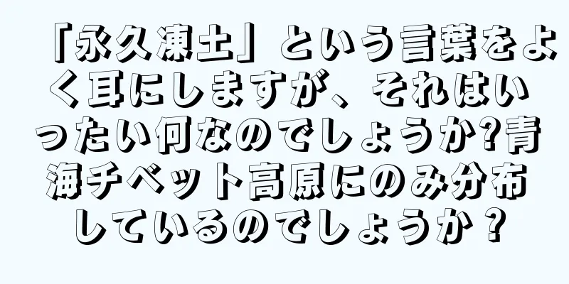 「永久凍土」という言葉をよく耳にしますが、それはいったい何なのでしょうか?青海チベット高原にのみ分布しているのでしょうか？