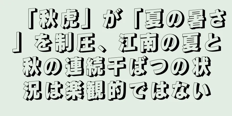 「秋虎」が「夏の暑さ」を制圧、江南の夏と秋の連続干ばつの状況は楽観的ではない