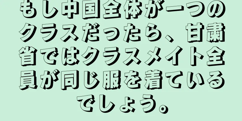 もし中国全体が一つのクラスだったら、甘粛省ではクラスメイト全員が同じ服を着ているでしょう。