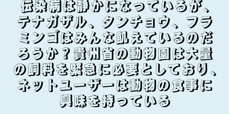 伝染病は静かになっているが、テナガザル、タンチョウ、フラミンゴはみんな飢えているのだろうか？貴州省の動物園は大量の飼料を緊急に必要としており、ネットユーザーは動物の食事に興味を持っている