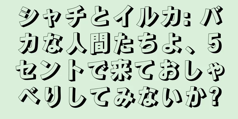 シャチとイルカ: バカな人間たちよ、5セントで来ておしゃべりしてみないか?