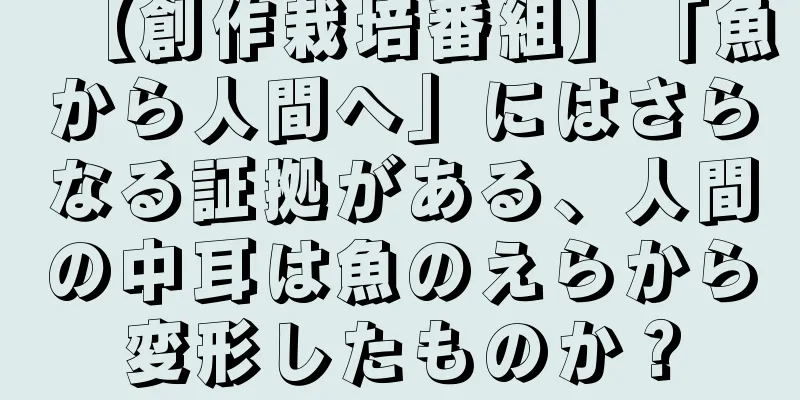 【創作栽培番組】「魚から人間へ」にはさらなる証拠がある、人間の中耳は魚のえらから変形したものか？