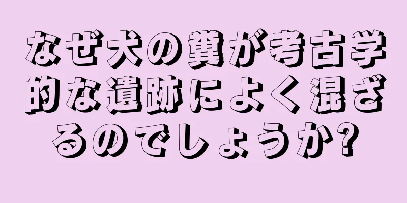 なぜ犬の糞が考古学的な遺跡によく混ざるのでしょうか?