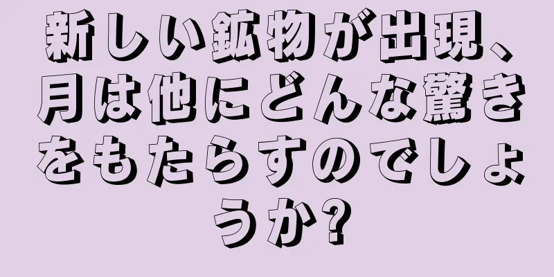 新しい鉱物が出現、月は他にどんな驚きをもたらすのでしょうか?