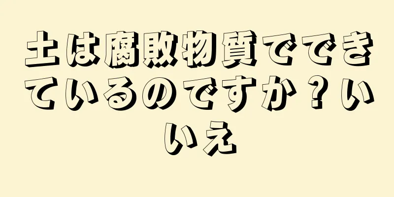 土は腐敗物質でできているのですか？いいえ