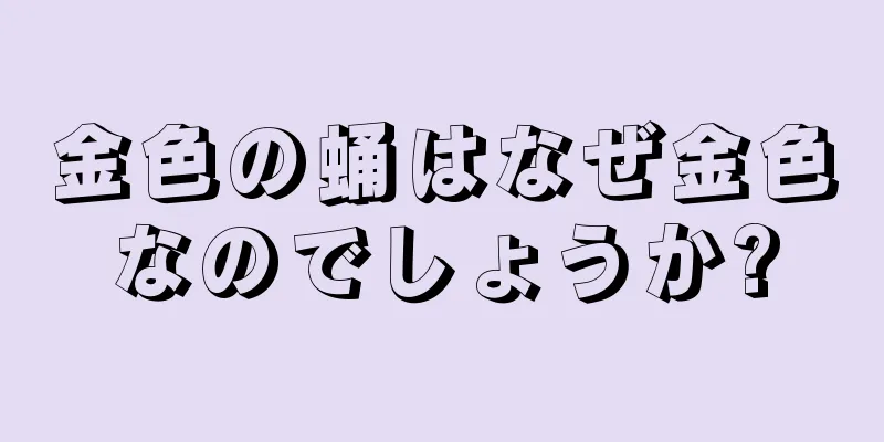 金色の蛹はなぜ金色なのでしょうか?