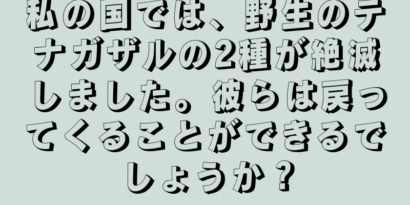 私の国では、野生のテナガザルの2種が絶滅しました。彼らは戻ってくることができるでしょうか？