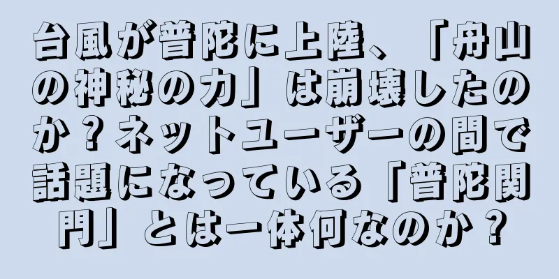台風が普陀に上陸、「舟山の神秘の力」は崩壊したのか？ネットユーザーの間で話題になっている「普陀関門」とは一体何なのか？
