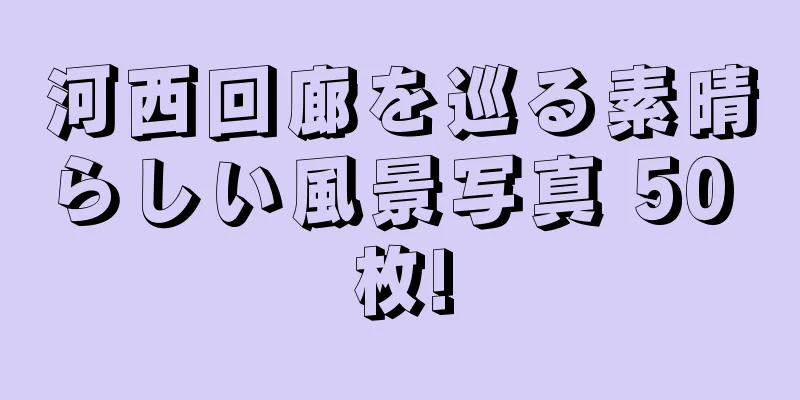 河西回廊を巡る素晴らしい風景写真 50 枚!
