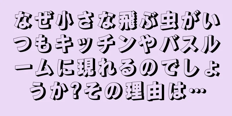 なぜ小さな飛ぶ虫がいつもキッチンやバスルームに現れるのでしょうか?その理由は…
