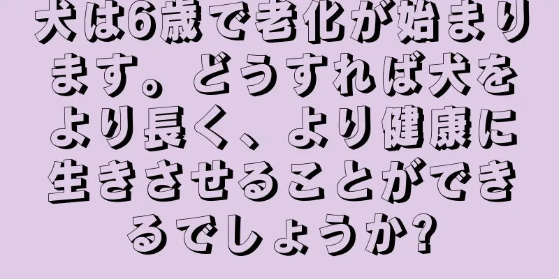 犬は6歳で老化が始まります。どうすれば犬をより長く、より健康に生きさせることができるでしょうか?