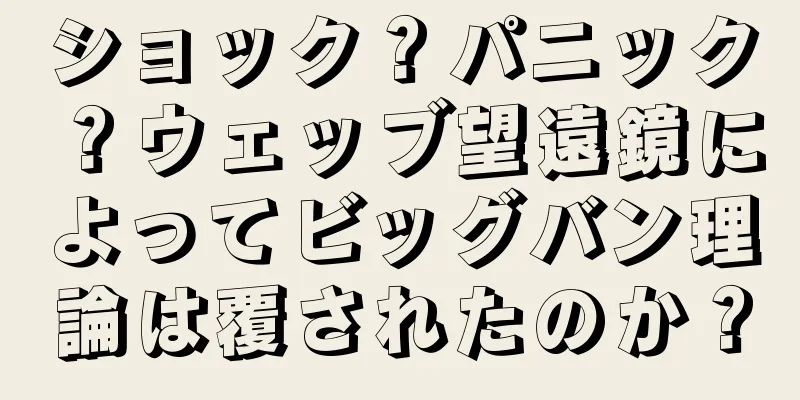 ショック？パニック？ウェッブ望遠鏡によってビッグバン理論は覆されたのか？