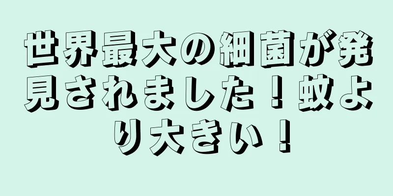 世界最大の細菌が発見されました！蚊より大きい！