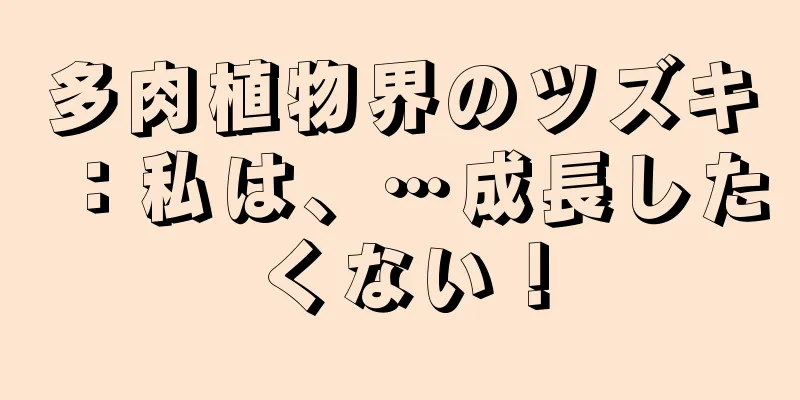 多肉植物界のツズキ：私は、…成長したくない！